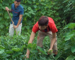 Huyện Điện Biên Đông nâng cao công tác Phổ cập giáo dục - xóa mù chữ năm 2019