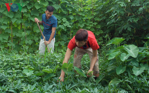 Mái ấm tình thương Điện Biên Đông - nâng bước những mảnh đời bất hạnh